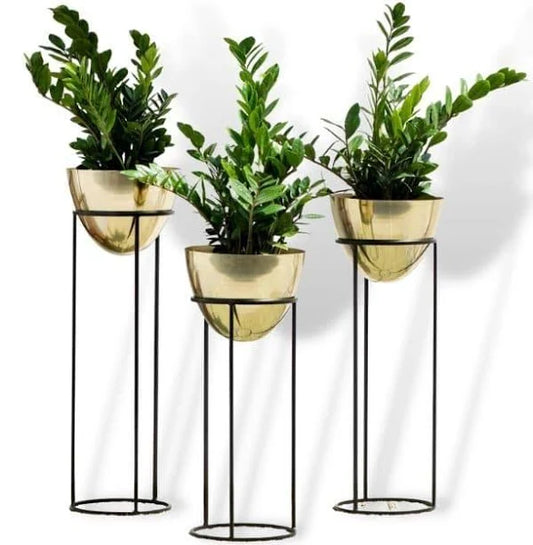 Golden egg Ovate Planter with stand - Set of 3